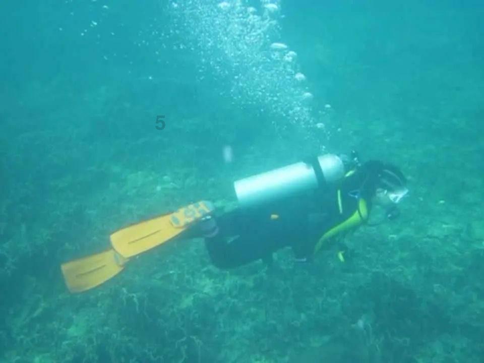 森迪公主夏日度假